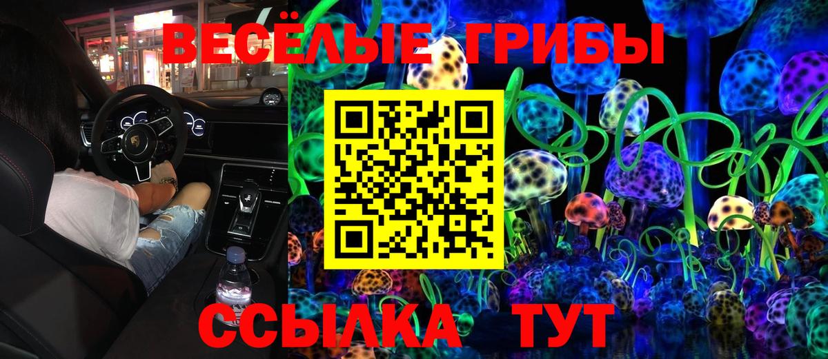 Галлюциногенные грибы мицелий  Вход с VPN  Протвино 